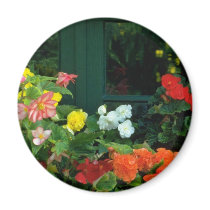 Orange Begonias flowers Fridge Magnets