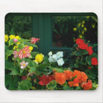 Orange Begonias flowers Mousepads