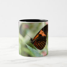 Orange Butterfly Mug