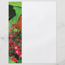 Orange Butterfly on Red Kalanchoe Full Color Flyer