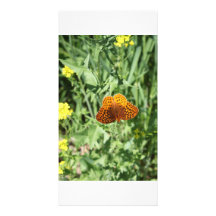 Orange Butterfly Photo Card Template