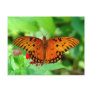 Orange Butterfly Postcard