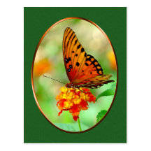 Orange Butterfly Postcard 4