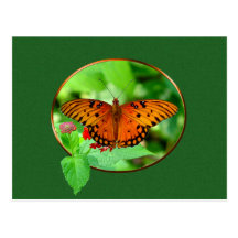 Orange Butterfly Postcard 5