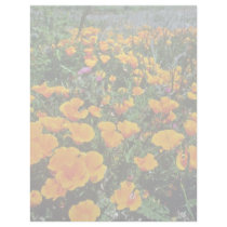 Orange California Poppies flowers Letterhead Design