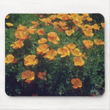 Orange California Poppy (Eschscholzia Californica) Mousepads