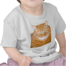 Orange cat shirts