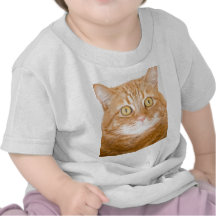 Orange cat shirts