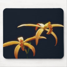 Orange Cinnabarina (Laelia) flowers Mousepad