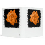 Orange coloured rose against black back