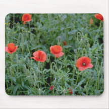 Orange Corn poppies flowers Mousepads