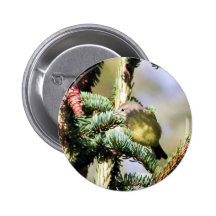 Orange-crowned Warbler Button