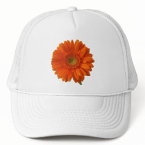 Orange Daisy Baseball Hat