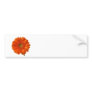 Orange Daisy Bumper Sticker