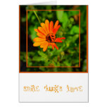 Orange Daisy-CARD