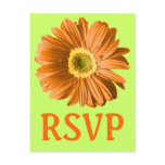 Orange Daisy Flower RSVP Or Custom Post Card