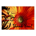Orange Daisy Thank You Greeting Cards