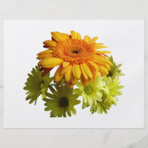 Orange Daisy With Yellow Mums Flyer
