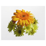Orange Daisy With Yellow Mums