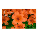 Orange daylilies business cards