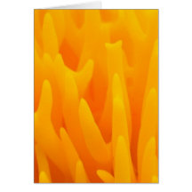 Orange de champignon carte de vœux