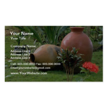 Orange Decorative clay vases flowers Business Cards