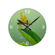 Orange dragonfly Wall Clock