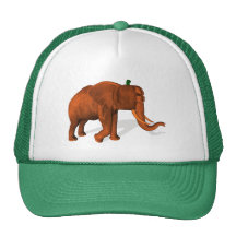 Orange Elephant Mesh Hats
