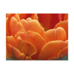 orange flames postcards