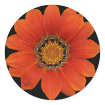 Orange Flower2  Sticker