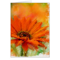 Orange Flower-2