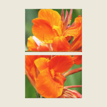 Orange Flower canvas prints