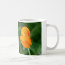 Orange Flower Coffee Mug