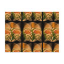 ORANGE FLOWER COLLAGE postcards