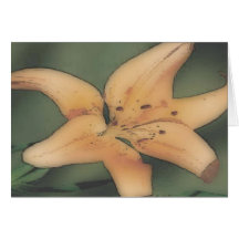 Orange Flower Greeting Cards
