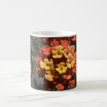 Orange Flower I Mug