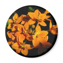 Orange Flower Magnet