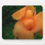 Orange flower mousepad