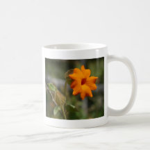 orange flower mug