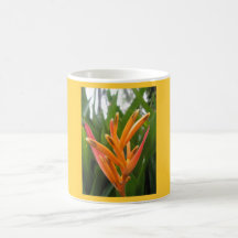 Orange Flower Mug