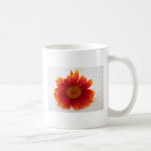 orange flower mugs