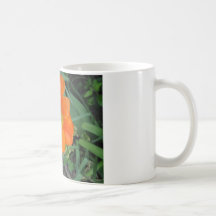 Orange Flower Mugs