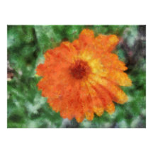 Orange flower painting personalized announcements