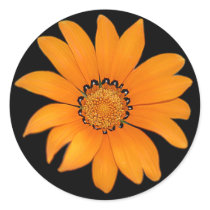 Orange Flower Sticker