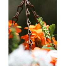 Orange flowers and rusted chain close up cut outs