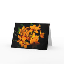 Orange Flowers Card