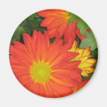 Orange Flowers Magnet