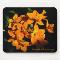 Orange Flowers Mousepad