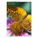 Orange Fritillary Butterfly Card