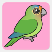 Orange-fronted Parakeet Sticker